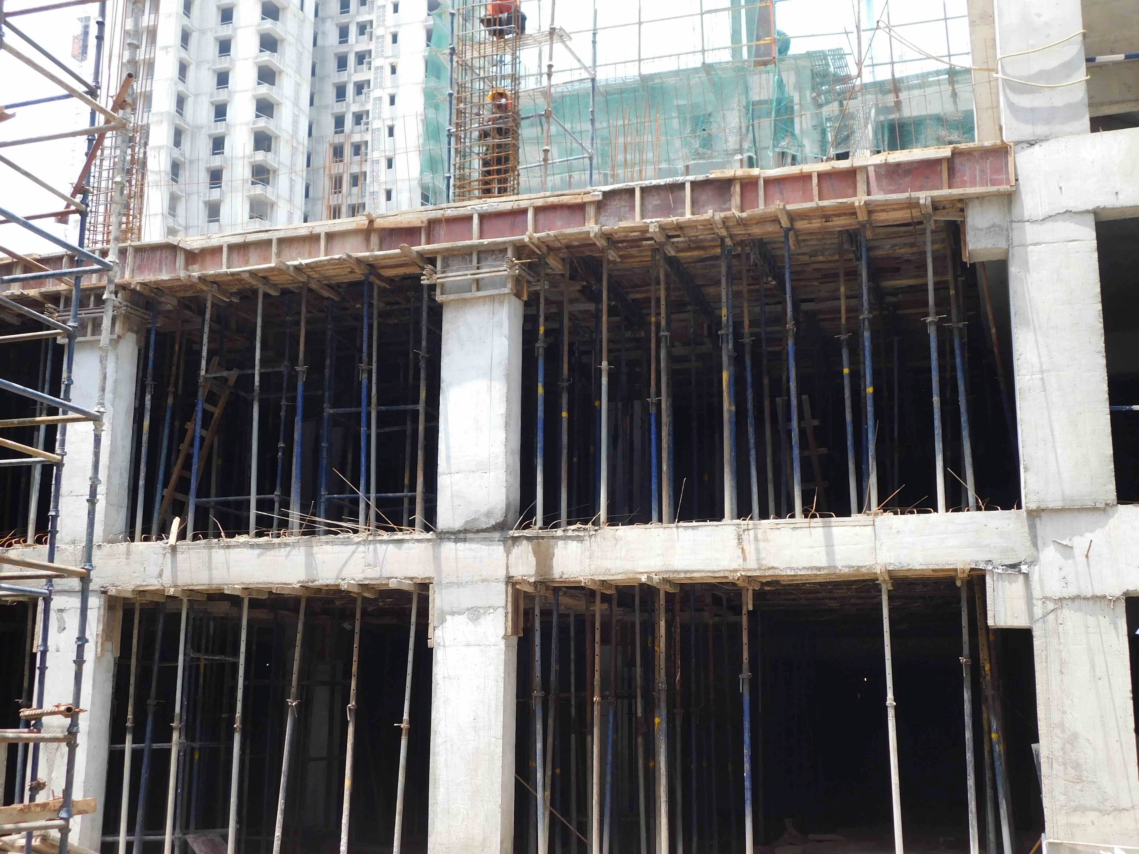 Sangam Non Tower Area Work in Progress 2